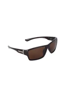 Walrus Men Brown Lens & Black Sports Sunglasses LSGM-GABLE-II-090909
