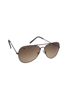 Walrus Men Brown Lens & Black Aviator Sunglasses WSGM-JOHN-090909