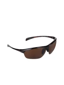 Walrus Men Brown Lens & Black Sports Sunglasses with UV Protected Lens LSGM-GABLE-090909
