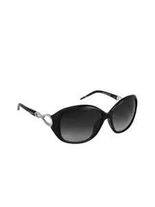 Walrus Men Black Lens & Black Oversized Sunglasses WSGW-GAGA-IV-020202