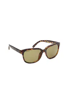 Fastrack Women Wayfarer Sunglasses P286BR2F