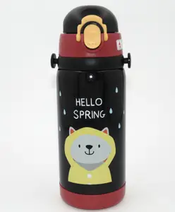 Sanjary Stainless Steel 304 Double Wall Mix Print Water Bottle Multicolour - 450 ml