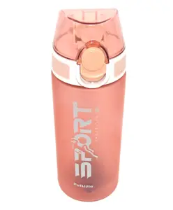 Sanjary Leakproof Water Bottle 550 ml Pack of 1