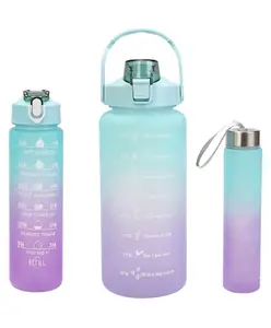 House of Quirk 3 Water Bottle with Straw - Blue Purple