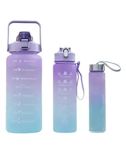 House of Quirk 3 Water Bottle with Straw - Purple Blue