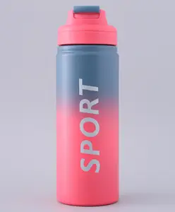 Fab N Funky Insulated Steel Sports Bottle Pink and Blue - 500 ml