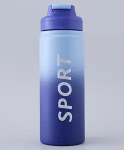 Fab N Funky Insulated Steel Sports Bottle Blue - 500 ml