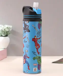 Avengers Steel Water Bottle - 700 ml