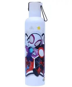 Disney by Gluman Gluman Disney Spiderman Stainless steel Double walled Mizu Water Bottle - 750ml