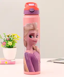 Disney Frozen Stainless Steel Insulated Hot & Cold Sipper Bottle Pink and Purple - 700 ml