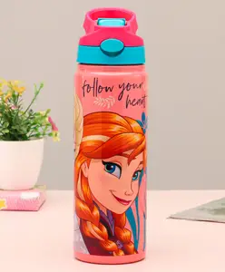 Disney Frozen Stainless Steel Insulated Hot & Cold Sipper Bottle Pink and Blue - 500 ml