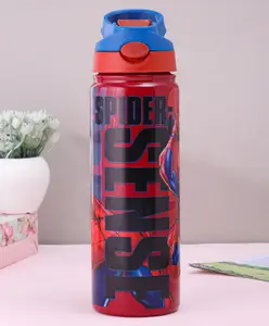 Spider Man Stainless Steel Insulated Hot and Cold Sipper Bottle Red and Dark Blue - 500 ml