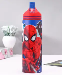 Spider Man Stainless Steel Single Wall Sipper Bottle Red - 700 ml