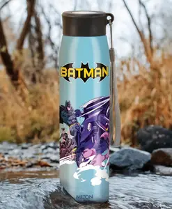 MILTON Handy Design 850 Stainless Steel Leak Proof Single walled Water Bottle, 780 ml, Blue