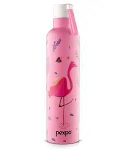 Pexpo Oslo Hot & Cold Stainless Steel Water Bottle |Vacuum Insulated Flask|ISI Certified |750 ml, Pink-Flamingo Bird Print| Office | Home |Gym|Adults