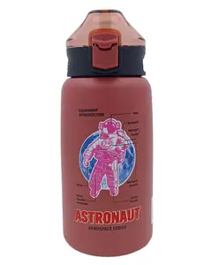 SANJARY Insulated Stainless Steel Water Bottle Pink - 550 ml