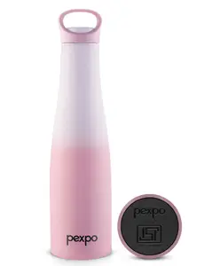 Pexpo Morocco Pro 700 ISI Certified | Hot & Cold Insulated Water Bottle with Loop Handle| Stainless Steel Flask - 600ml | Purple-Pink Ombre Shade | Thermoflask | Office Bottle