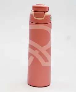 Rushabh Novelty Insulated , BPA Free, leakproof, hot and cold, bottle for school, college, office and travelling Water Bottle - 1195-Peach -500ml