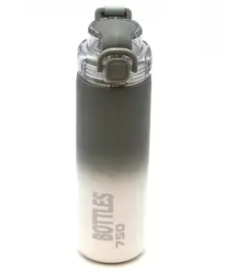 Rushabh Novelty Insulated , BPA Free, leakproof, hot and cold, bottle for school, college, office and travelling Water Bottle - 1377-Grey -750ml