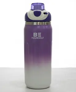 Rushabh Novelty Insulated , BPA Free, leakproof, hot and cold, bottle for school, college, office and travelling Water Bottle - 2404-Purple -500ml