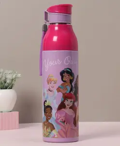 Cello Amazer Puro Steel-X Insulated Stainless Steel Disney Princess Water Bottle Violet - 710 ml