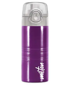 Milton Vogue Single Walled 500 Stainless Steel Leak Proof Water Bottle Purple - 490 ml