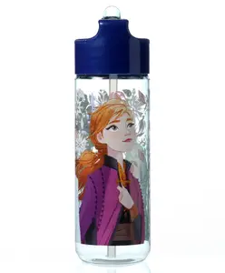 Disney Frozen Stor Large Ecozen Snowy Tale Hydro Water Bottle Multicolor 540 ml