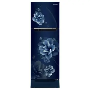SAMSUNG 236 L Frost Free Double Door 2 Star Refrigerator with Base Drawer(Camellia RT28C3122CU/HL)