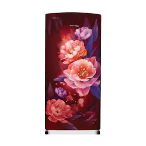 Voltas Beko, A Tata Product 173 L Made-in-India Direct cool Refrigerator Appliance (RDC205D / S0PWR0M0000GO, Peony)