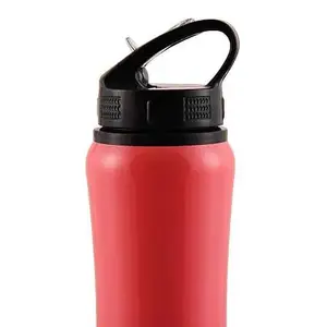 Youp Stainless Steel Sports Series Sipper Bottle Hyper Multicolour 8Y+ Assorted