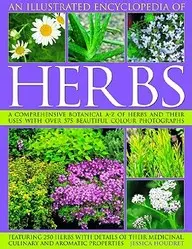 An Illustrated Encyclopedia Of Herbs: A Comprehensive A-Z Of Herbs And Their Uses With 700 Color Photographs
