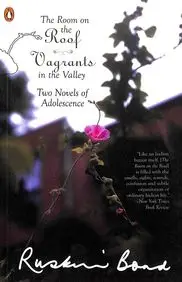 Room On The Roof Vagrants In The Valley Two Novels Of Adolescence price in India.
