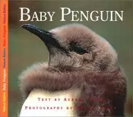 Baby Penguin (Nature Babies) by Aubrey Lang,Wayne Lynch