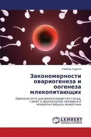 Zakonomernosti Ovariogeneza I Oogeneza Mlekopitayushchikh