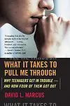 What It Takes to Pull Me Through: Why Teenagers Get in Trouble and How Four of Them Got Out Paperback
