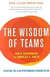 The Wisdom of Teams: Creating the High-Performance Organization Paperback