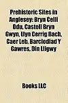 Prehistoric Sites In Anglesey: Bryn Celli Ddu, Castell Bryn Gwyn, Llyn Cerrig Bach, Barclodiad Y Gawres, Caer Leb, Din Lligwy by Books Llc(Editor)