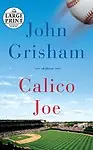 Calico Joe
