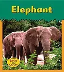 Elephant (Zoo Animals) by Patricia Whitehouse