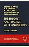 The Theory and Practice of Econometrics