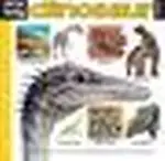 My Big Dinosaur World (Spiral)