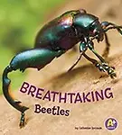 Breathtaking Beetles (Bugs Are Beautiful!) by Catherine Ipcizade