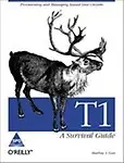 T1 A Survival Guide (Paperback)