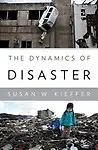 The Dynamics Of Disaster