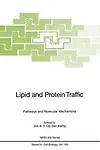 Lipid and Protein Traffic: Pathways and Molecular Mechanisms (Nato ASI Subseries H: (closed)) by Jos A.F. Op den Kamp