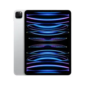 Apple iPad Pro M2 11 (4 th Generation) MNXG3HN/A 256 GB Wi-Fi (Silver)
