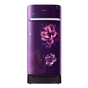 Samsung Samsung 198L Horizontal Curve Design Single Door Refrigerator RR21T2H2XCR