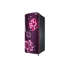 Samsung 223L Stylish Grandé Design Single Door Refrigerator RR24C2723CR Buy 223L Single Door Fridge RR24C2723CR 