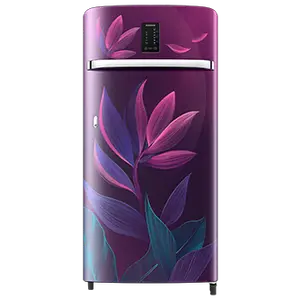 Samsung Samsung 198L Digi-Touch Cool™ Single Door Refrigerator RR21A2E2X9R