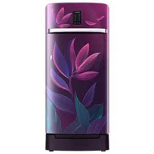 Samsung Samsung 198L Digi-Touch Cool™ Single Door Refrigerator RR21A2F2X9R